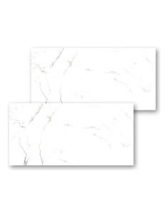 Bianco Apuano Natural Eco 60x120